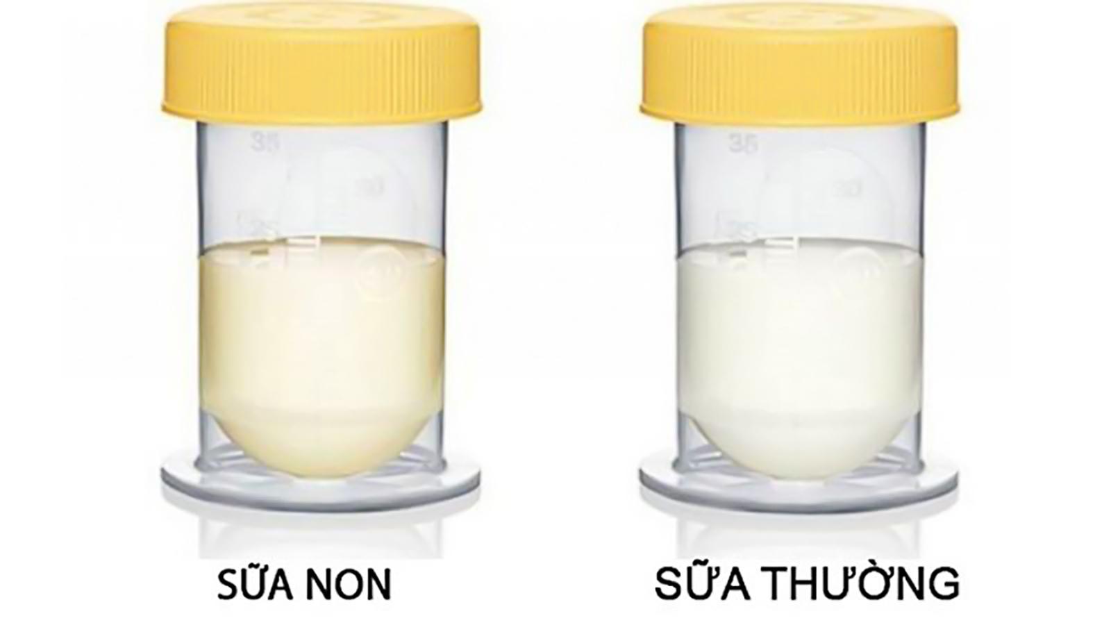 Các dạng sử dụng phổ biến của sữa non colostrum như bột, viên nang và sữa nước