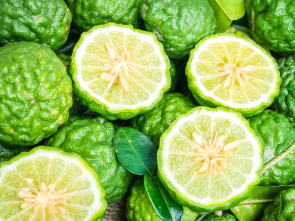 Hướng dẫn các cách sử dụng tinh dầu Bergamot an toàn và hiệu quả tại nhà.