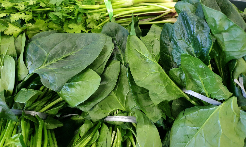 Hình ảnh các món ăn đa dạng chế biến từ rau bina kale: salad, sinh tố, xào