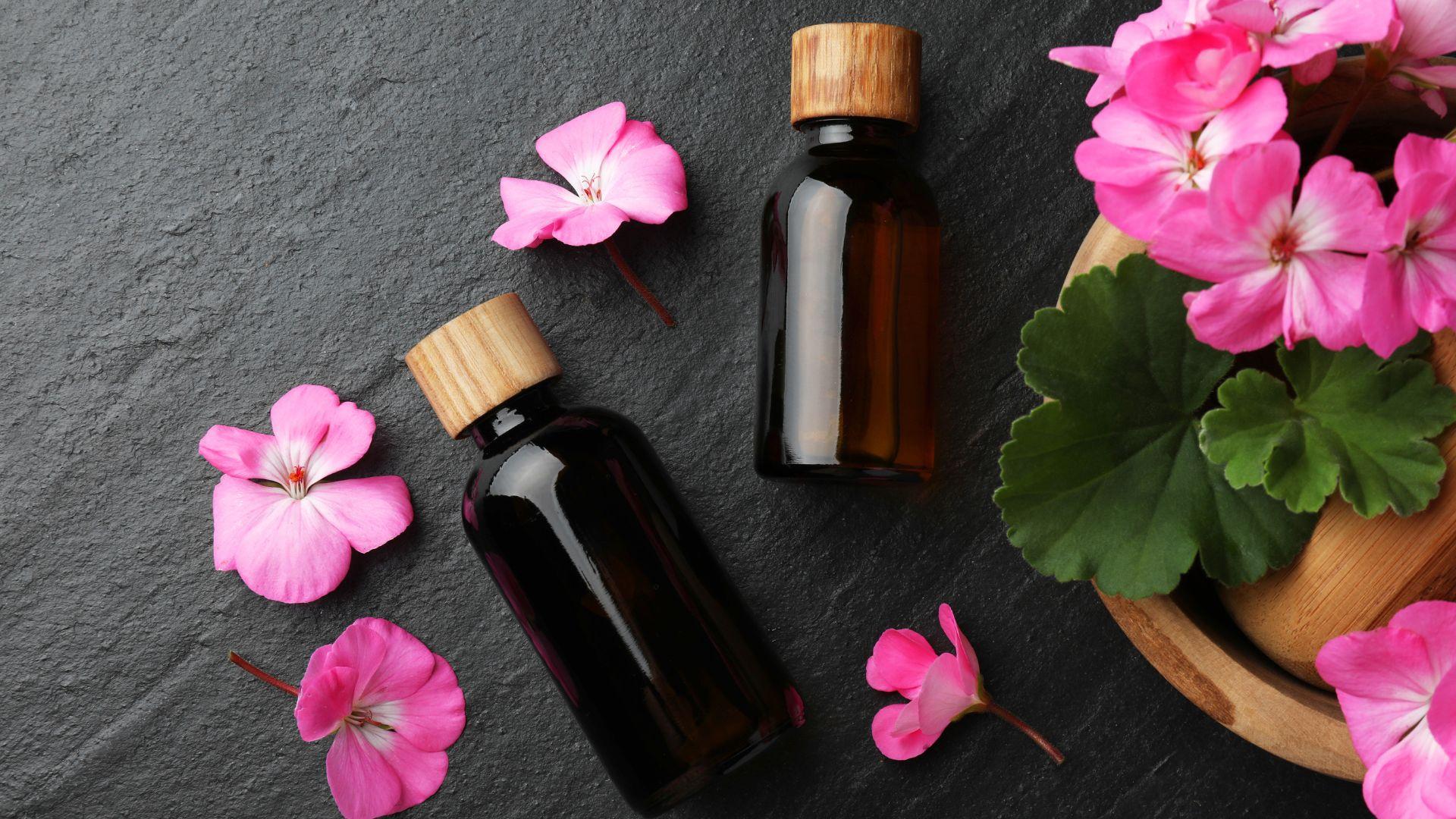 Hình ảnh minh họa công dụng của tinh dầu phong lữ trong chăm sóc da, giúp da sáng khỏe