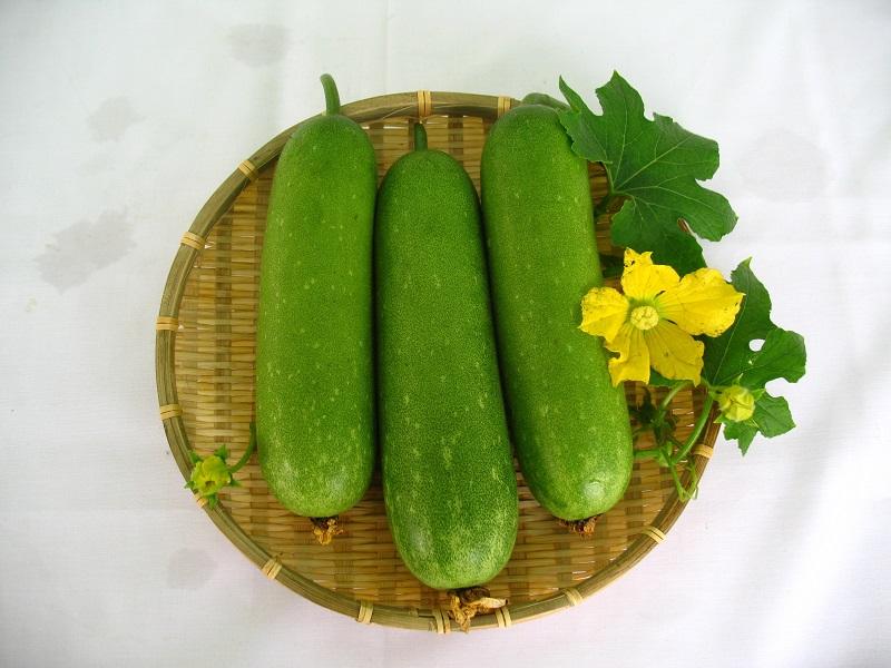 Bieu tuong cac loi ich suc khoe tu cay duong quy