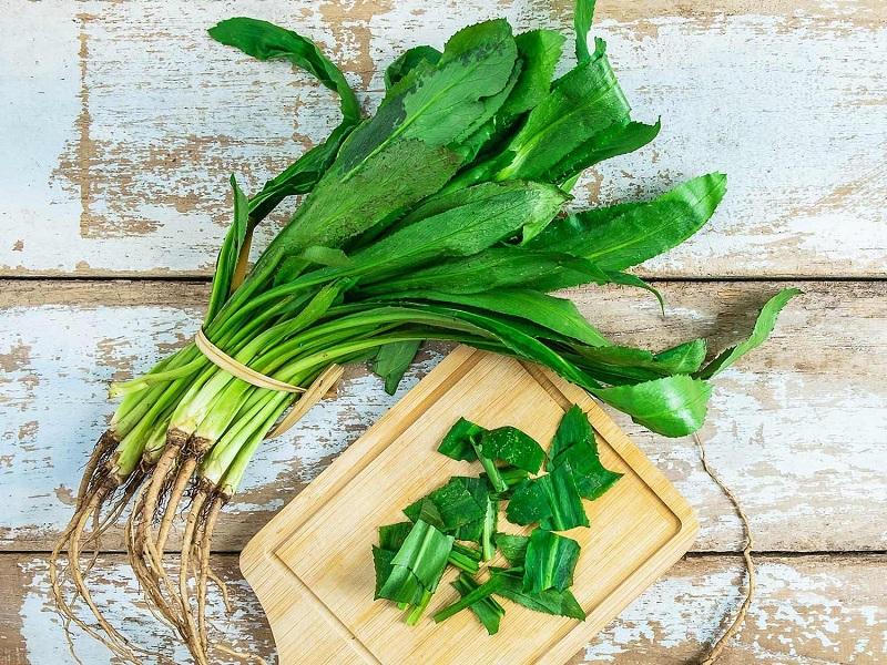 Rau mùi tàu (ngò gai) chữa bệnh gì? Khám phá công dụng bất ngờ từ loại thảo dược quen thuộc