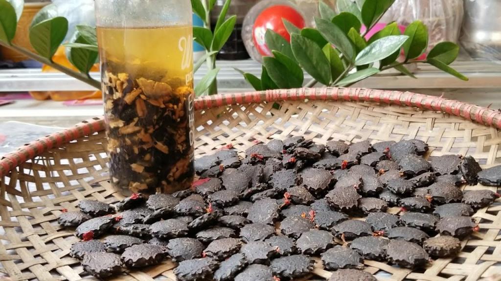 Chai rượu ớt ngâm dùng để xoa bóp trong y học dân gian