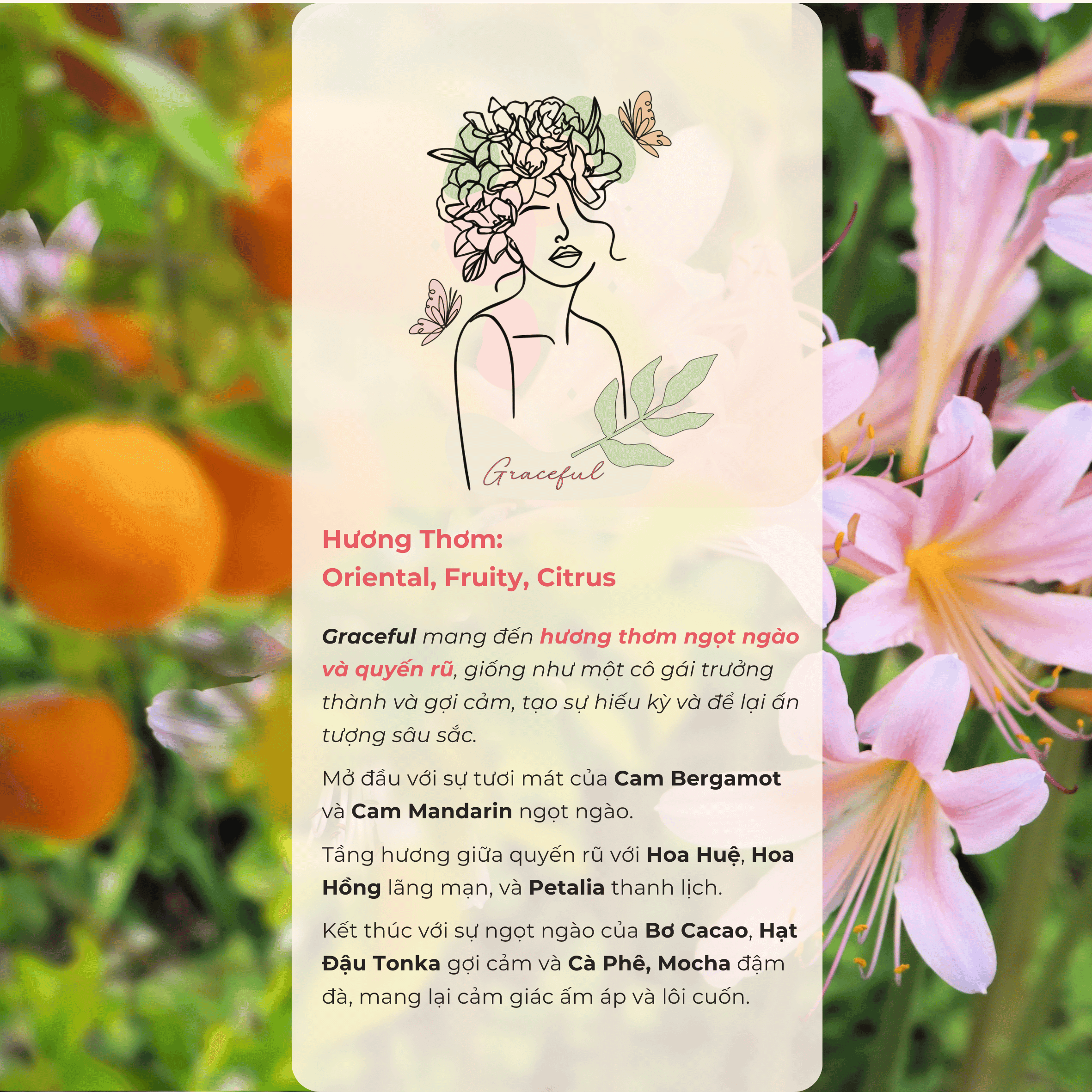 Tinh dầu Bergamot Có Tác Dụng Gì? Khám Phá Lợi Ích Từ Thảo Dược Quý